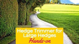 Best Hedge Trimmer for Large Hedges in 2023