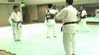 Kenpo Kai   Ken Juho Kata