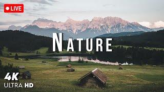   Nature 4K Live • Scenic Relaxation with Peaceful Music for Calm and Focus