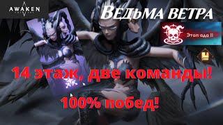 Awaken Chaos Era: Подземелье Ведьма ветра 14 этаж. 100% побед.