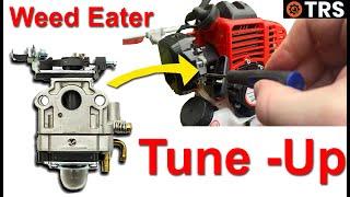 Fix Your Weed Eater Strimmer FAST With This Carburetor Tune-Up!  (by Craig Kirkman)