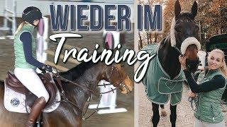 EEENDLICH WIEDER TRAINING | November '18 | BinieBo