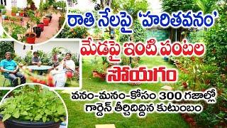 Mini Forest at Home || Garden || Terrace Farming || Vishnu Vandana || Hyderabad || Rytunestham