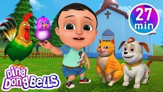 Meow Meow Chhoti Billi + 10 more Rhymesin Hindi| Nursery Rhymes | Ding Dong Bells