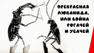 Прекрасная Люканида, или война рогачей и усачей (1912) фильм смотреть онлайн