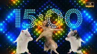 15 Minutes 4K Animal Dance Party with Party Dance Mix 