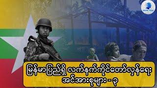 မြန်မာပြည်ရှိ လက်နက်ကိုင်တော်လှန်ရေး အင်အားစုများ - ၃