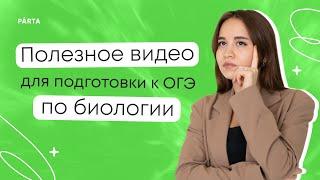 Процесс пищеварения: функции желчи | отрывок из занятия МГ с Аминой