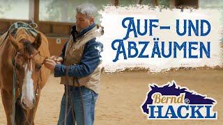 Auf- und Abzäumen | Bernd Hackl erklärt! 