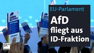 EU-Parlament: AfD fliegt aus ID-Fraktion | BR24