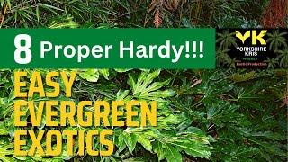 No fuss Super Hardy Evergreen Exotics to try!