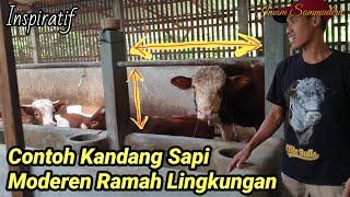 Inilah Ukuran Kandang Sapi Moderen Ramah Lingkungan Yg Cocok Jadi Referensi Peternak Pemula