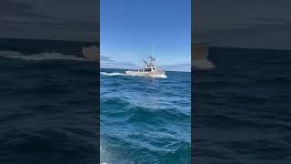 Looks like we are fast lol.  Most Cape Island style fishing boats have a max speed of 10 knots