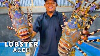 King LOBSTER ACEH Segar Masak Mie Aceh GURITA di Warung Mie Guritno