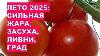 КАКОЙ ПОГОДЫ ЖДАТЬ ОТ ЛЕТА 2025? ОЧЕНЬ ЖАРКИЙ ПРОГНОЗ!