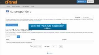 cPanel Email 13 How to setup an email autoresponder