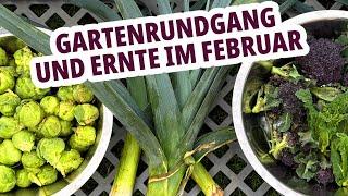 Gartenrundgang + Ernte im Februar in unserem Selbstversorger-Garten