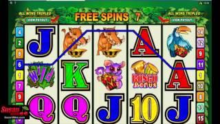 Huge Wins -  Free Games Bonus -  Bush Telegraph Online Slots Review