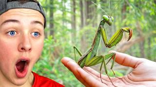 He RAISED A PET PRAYING MANTIS!