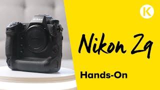 Nikon Z9 - DAS neue Flaggschiff | Foto Koch #nikon #z9