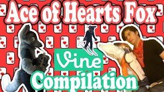 Ace of Hearts Fox Vine Compilation