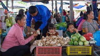 The Process of Harvesting Termite Mushrooms and Upland Melon Gardens to Bring to the Market for Sale