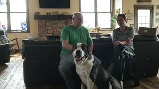 Central Asian shepherd and guests discussion