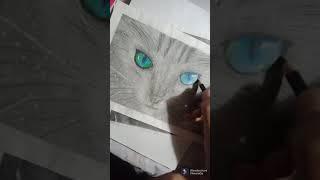 #a drawing of a cat inspired by @art by ali haider /captain amarica drawing /iron man drawing