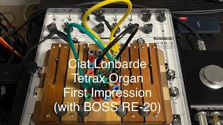 Ciat Lonbarde Tetrax Organ First Impression (with BOSS RE-20)