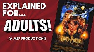 Harry Potter and the Sorcerer's Stone Explained For Adults! (A Comedic Commentary)