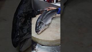 Amazing Salmon Fish Cutting Skills#shorts