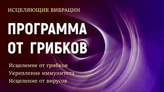 ИСЦЕЛЕНИЕ ВСЕГО ТЕЛА ОТ ГРИБКОВ: Скрытый настрой Сытина от инфекций (2.0)