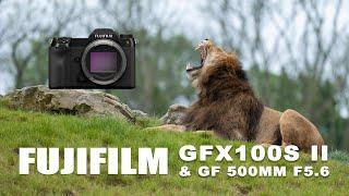 Review | Fujifilm GFX 100S II & GF 500mm F5.6 R LM OIS WR lens