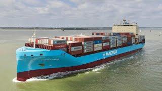 Vayenga Maersk and MSC Brittany at the Port of Felixstowe 2/6/2024