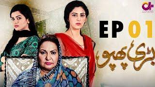 Bari Phuppo - EP 1 | Aplus| Hassan Somroo, Sangeeta Faria | Pakistani Drama | C3D1