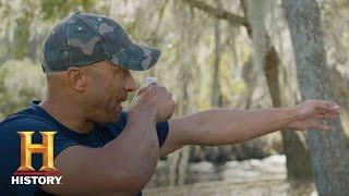 Swamp People: Dwaine Overboard (Season 8) | History