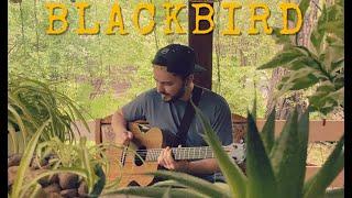 Blackbird - The Beatles cover