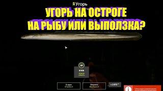 Русская рыбалка 4(рр4/rf4) - Озеро Старый Острог, Угорь, на выползка или рыбу?!!!