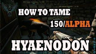 Ark: Alpha Hyaenodon taming made easy