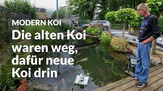 Guidos  50.000 Liter Teich nach dem Ahrtalhochwasser | Modern Koi Blog #6891