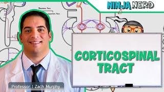 Neurology | Descending Tracts: Corticospinal Tract