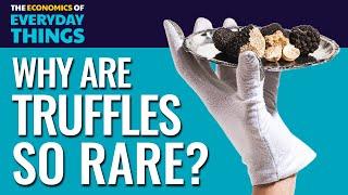 Truffles (Replay) | The Economics of Everyday Things