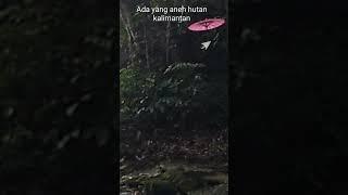 detik,detik kejadian di hutan kalimantan #shortsvidio #airterjun #shorts