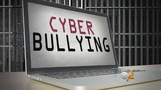 Cyber Bullying Law