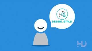 [Harsh Designs] Digital Stalk Website Explainer Video