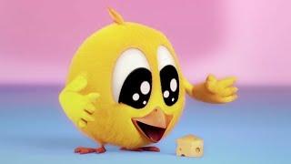 Where's Chicky ?  THE CHEESE - NEW episodes in HD