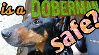 Is a Doberman Pinscher a Good Safe Family Dog?