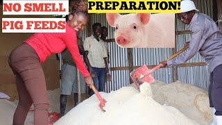 HOW To Make Your OWN PIG FEED Formula - NO SMELL Best Quality Feeds!