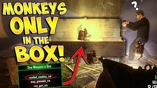 MONKEY'S ONLY IN THE MYSTERY BOX MOD!! (Zombie Mod Trolling!)