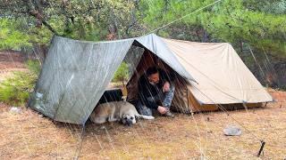 Camping in Heavy Rain and Rainstorm! - Overnight Rain Camping with My Dog